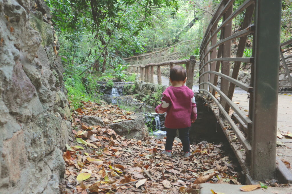 Toddler standing near small waterfall looking at the water falling.